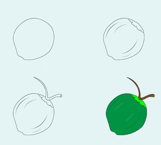 Desenhos de Coco verde grátis
