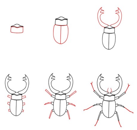 Desenhos de Contorno de besouro