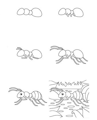 Desenhos de Contorno de formiga