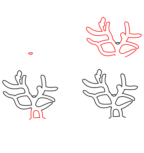 Desenhos de Coral Acropora nobilis
