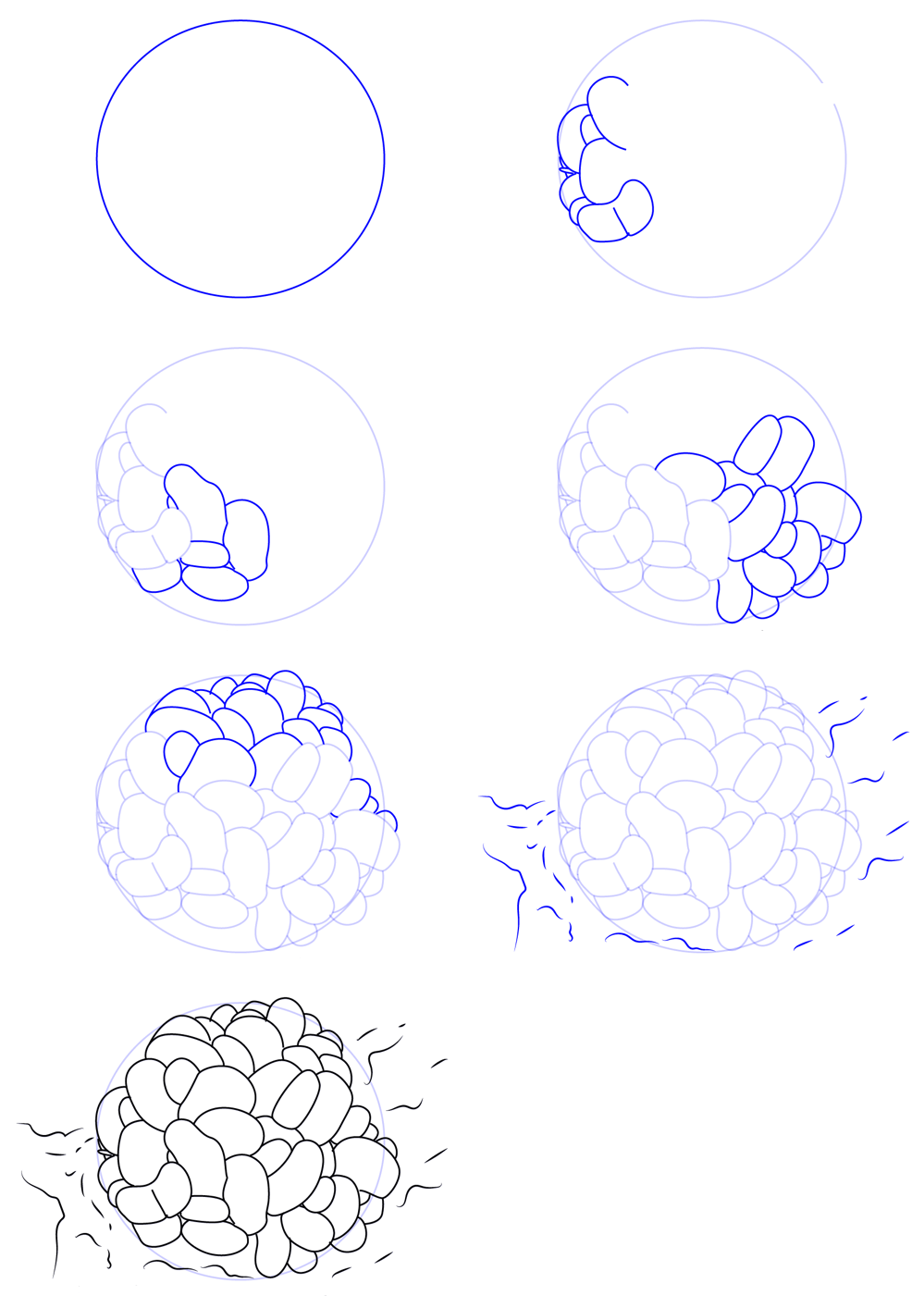 Desenhos de Couro Coral