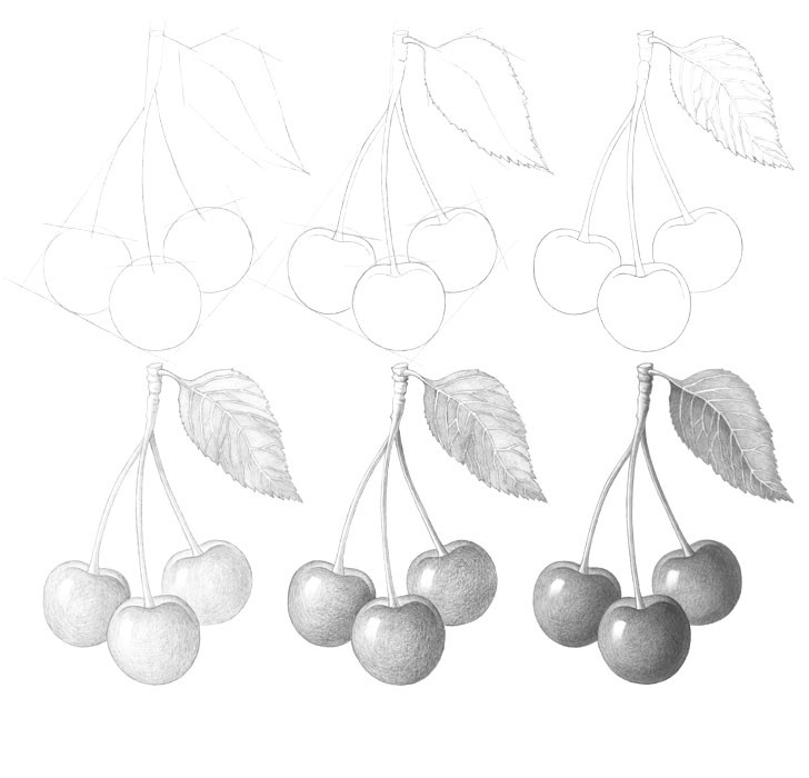 Desenhos de Esboço de cereja