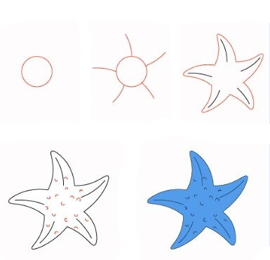 Desenhos de Estrela-do-mar azul
