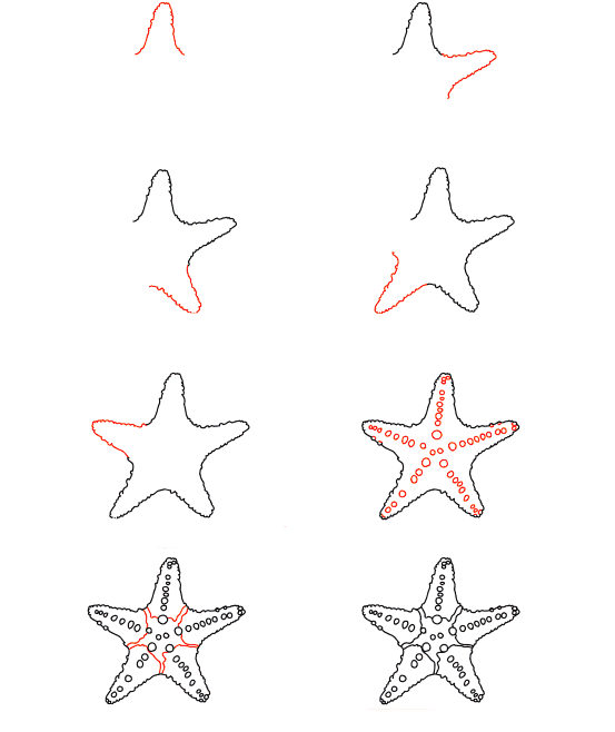 Desenhos de Estrela-do-mar Celestial