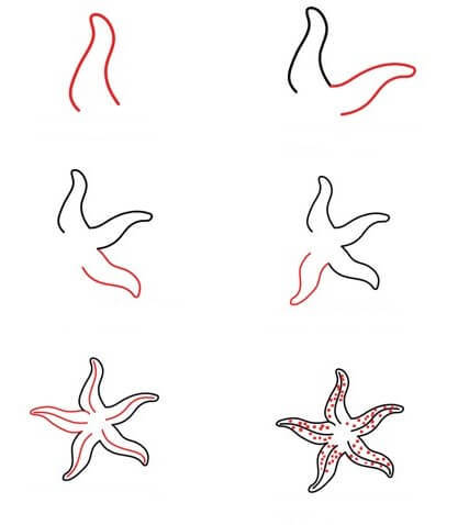 Desenhos de Estrela-do-mar esguia