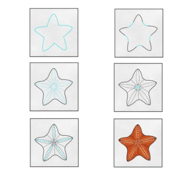 Desenhos de Estrela-do-mar fácil e simples