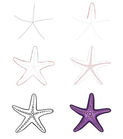 Desenhos de Estrela-do-mar roxa