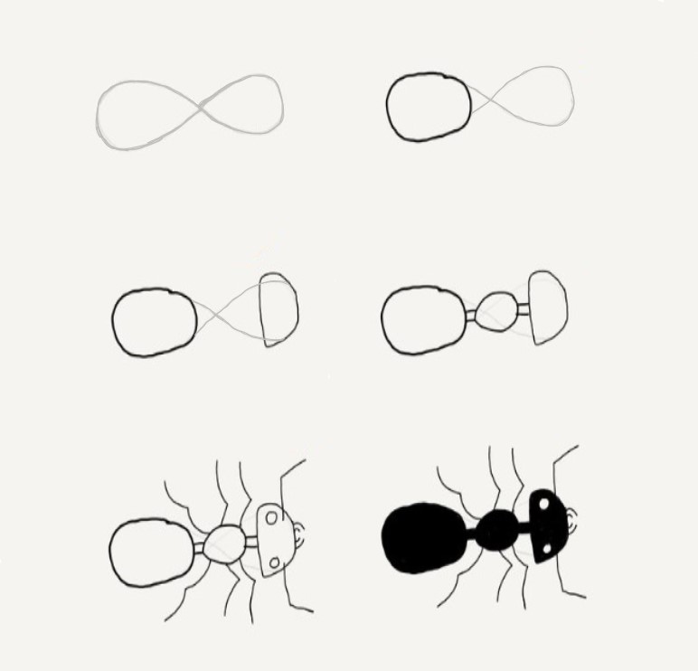 Desenhos de Formiga básico