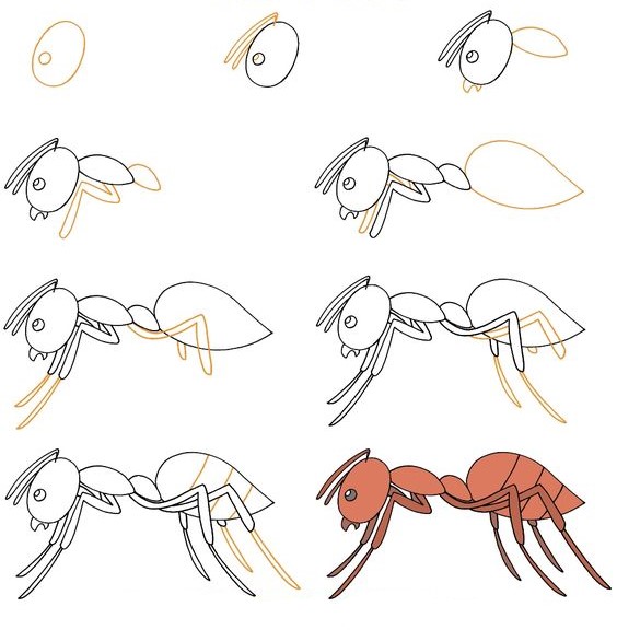 Desenhos de Formiga Gigante