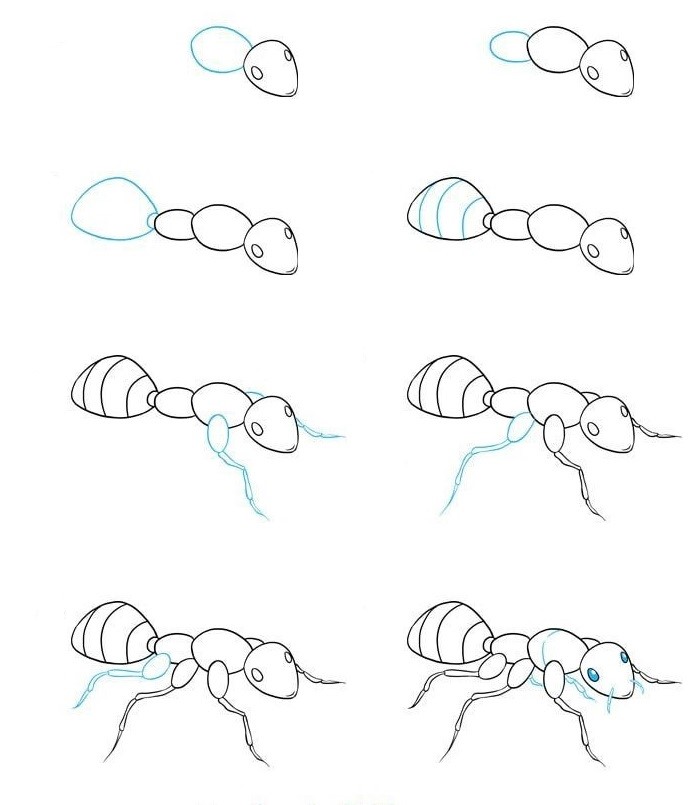 Desenhos de Formiga gratuito