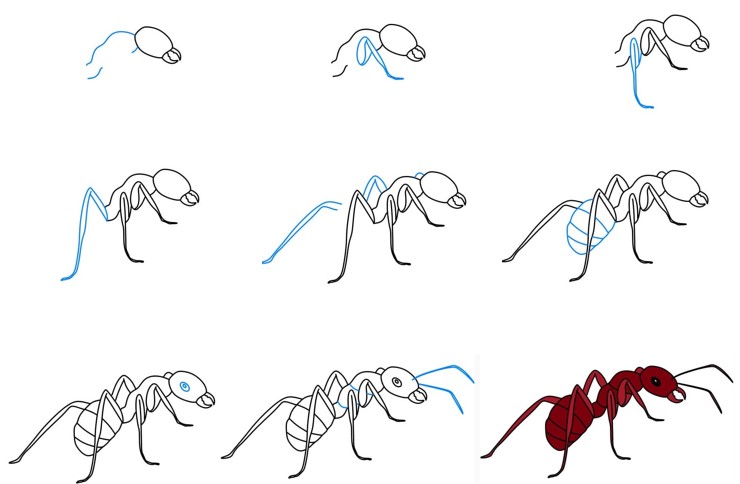 Desenhos de Formiga irritada