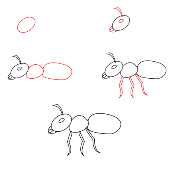 Desenhos de Formiga operária