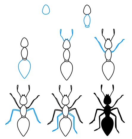 Desenhos de Formiga preta