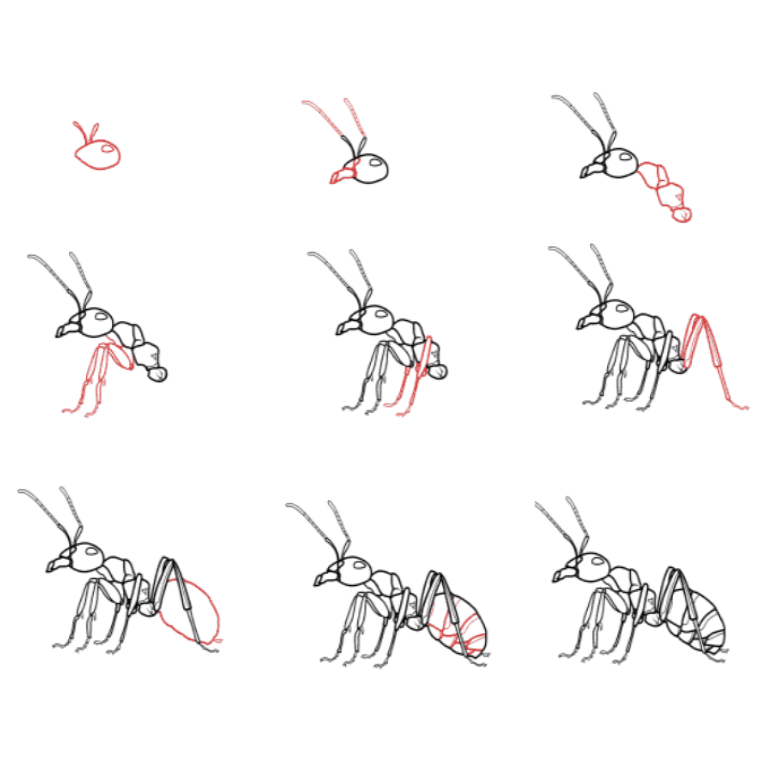 Desenhos de Formiga soldado