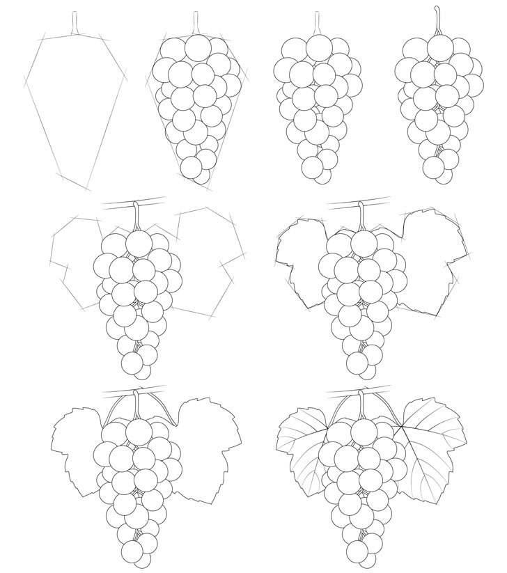 Desenhos de Ideia de cacho de uvas (1)