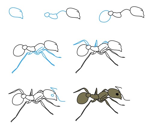 Desenhos de Imagem de formiga