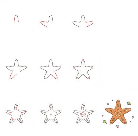 Desenhos de Jubileu da Estrela-do-Mar
