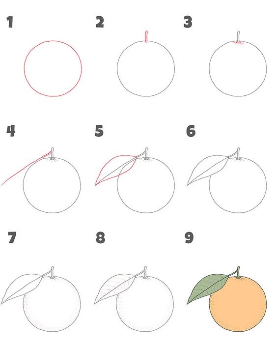 Desenhos de Laranja básico