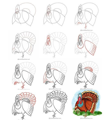 Desenhos de Peru magnífico
