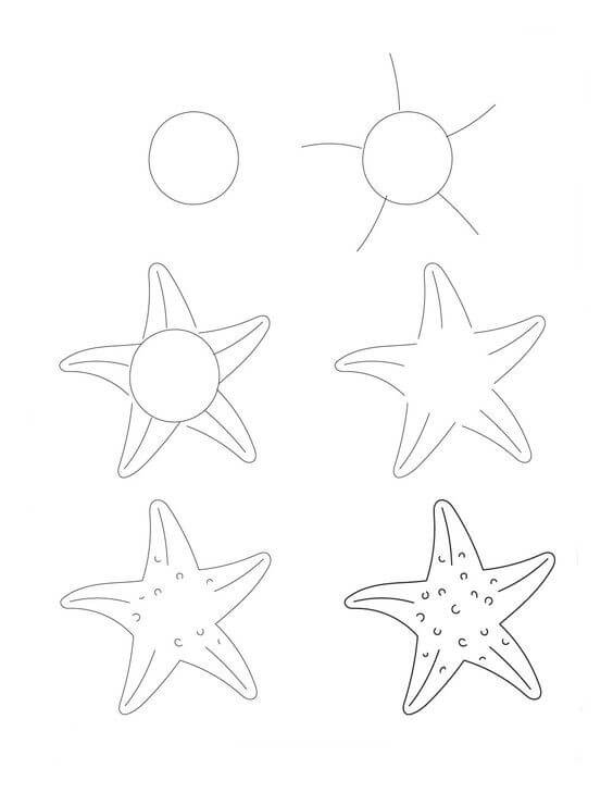 Desenhos de Radiância da Estrela-do-mar