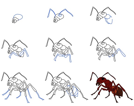 Desenhos de Realista formiga
