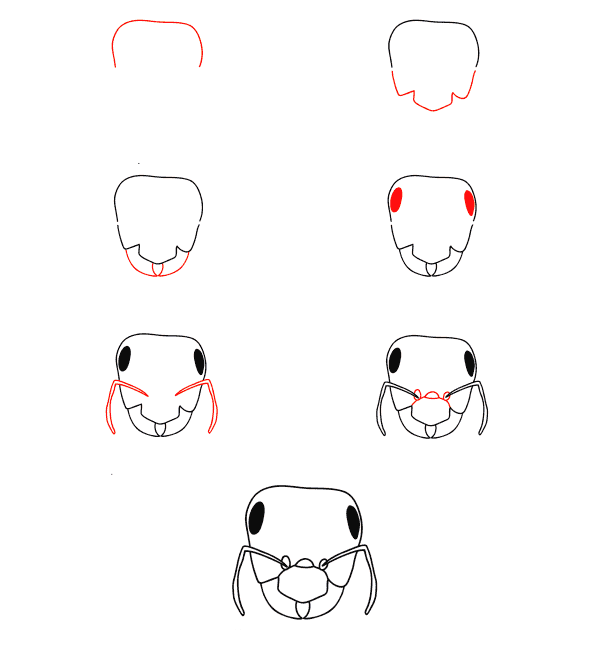 Desenhos de Rosto de formiga