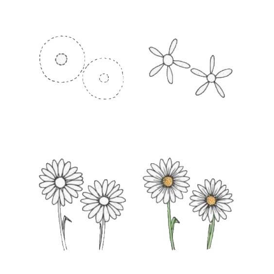 Desenhos de Duas flores de margarida