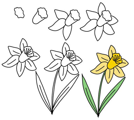 Desenhos de Flor de lírio amarelo