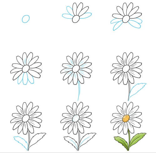 Desenhos de Flor de Margarida