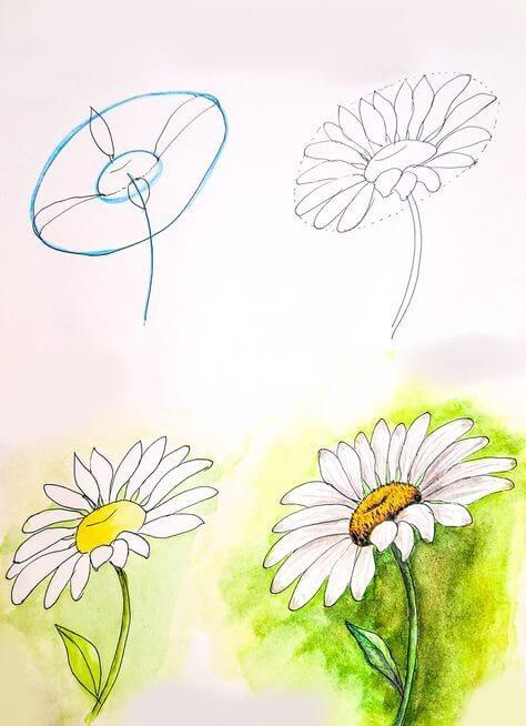 Desenhos de Flor de Margarida Sol