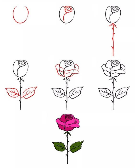 Desenhos de Flor de rosa espinhosa
