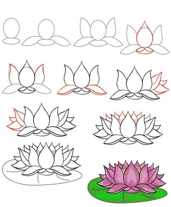 Desenhos de Flor e folha de lótus