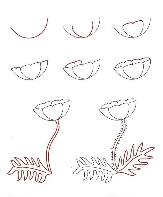 Desenhos de Flor e folhas