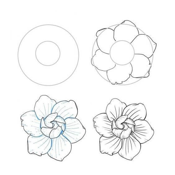 Desenhos de Flor encantadora