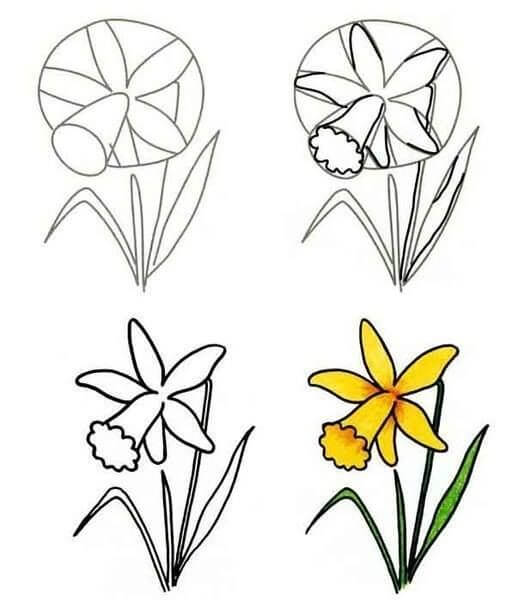 Desenhos de Flor lírio amarelo