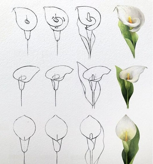 Desenhos de Flor única