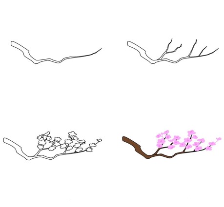Desenhos de Flores de cerejeira básicas gratis