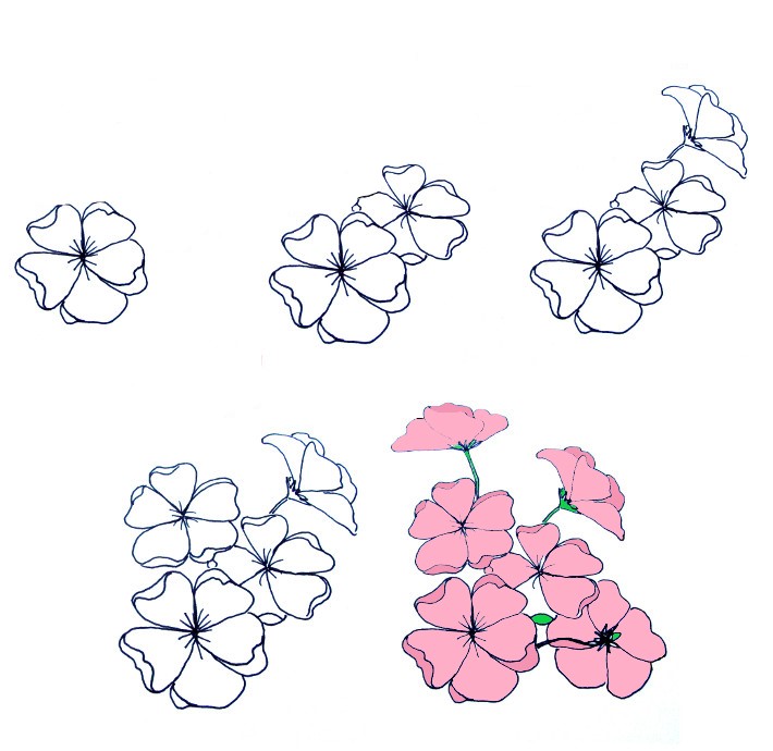 Desenhos de Flores de cerejeira para crianças