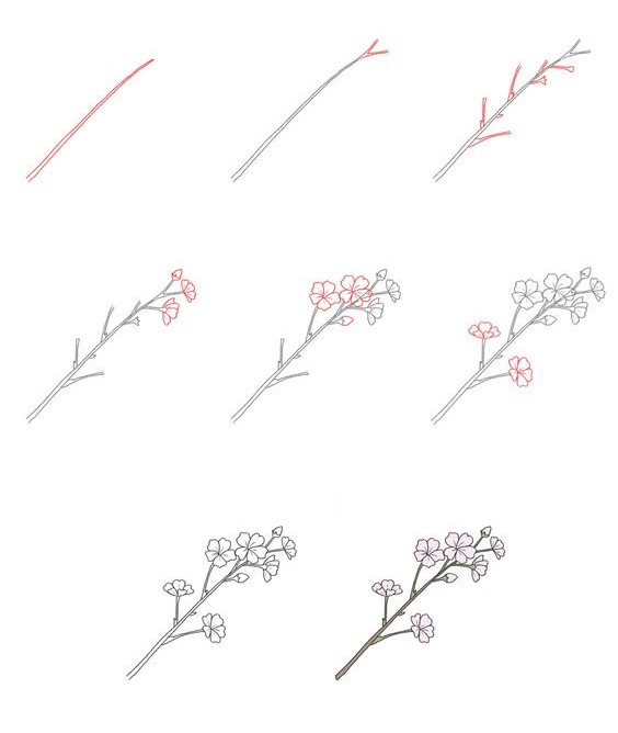 Desenhos de Flores de cerejeira pequenas