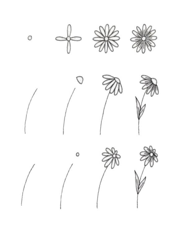 Desenhos de Imagem da flor margarida