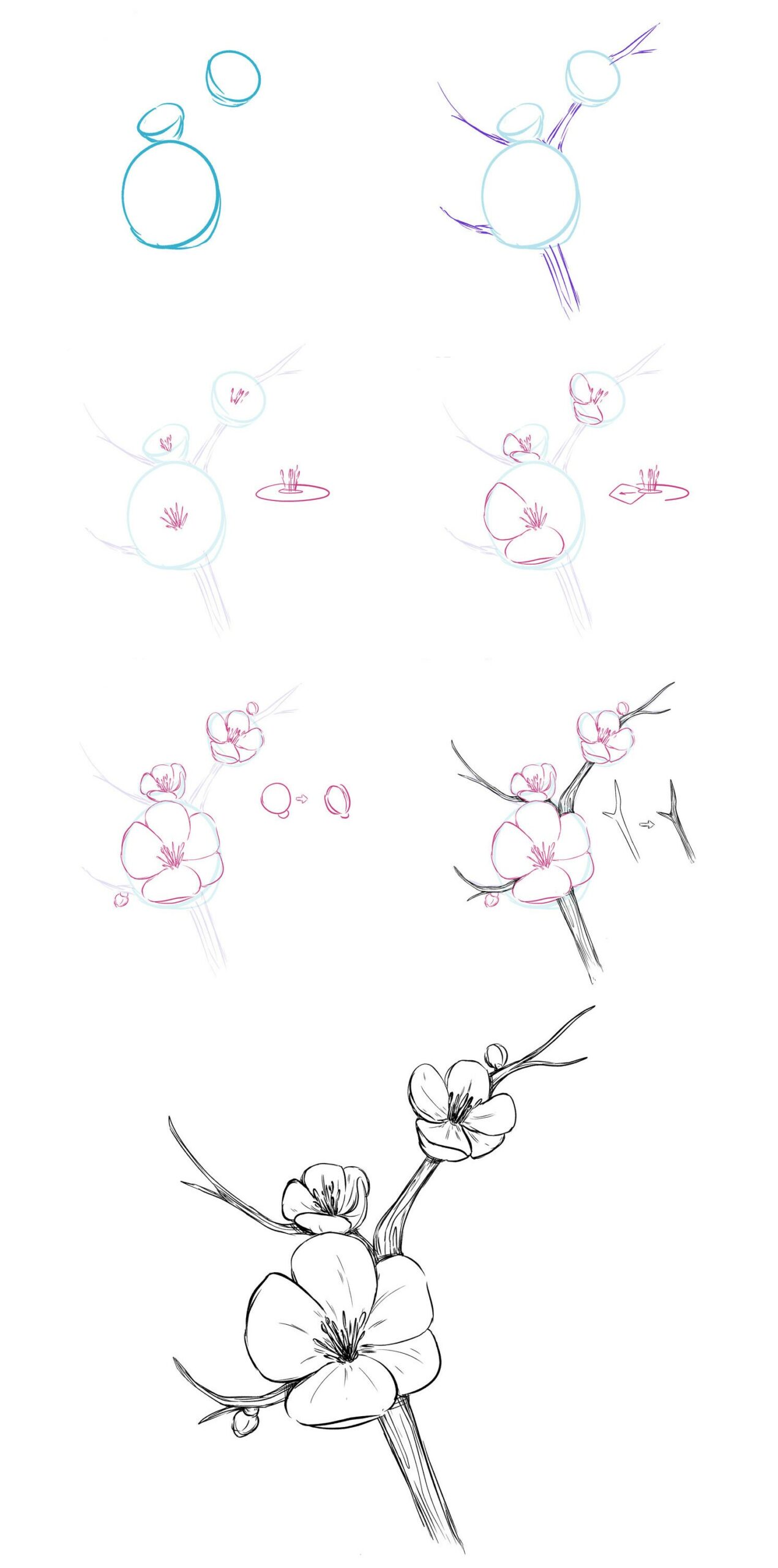 Desenhos de Imagem gratuita de flores de cerejeira