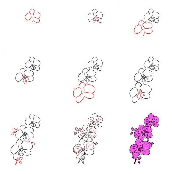 Desenhos de Lindo conjunto de flores