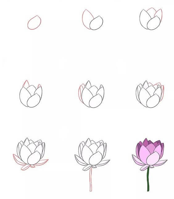 Desenhos de Pequena flor de lótus