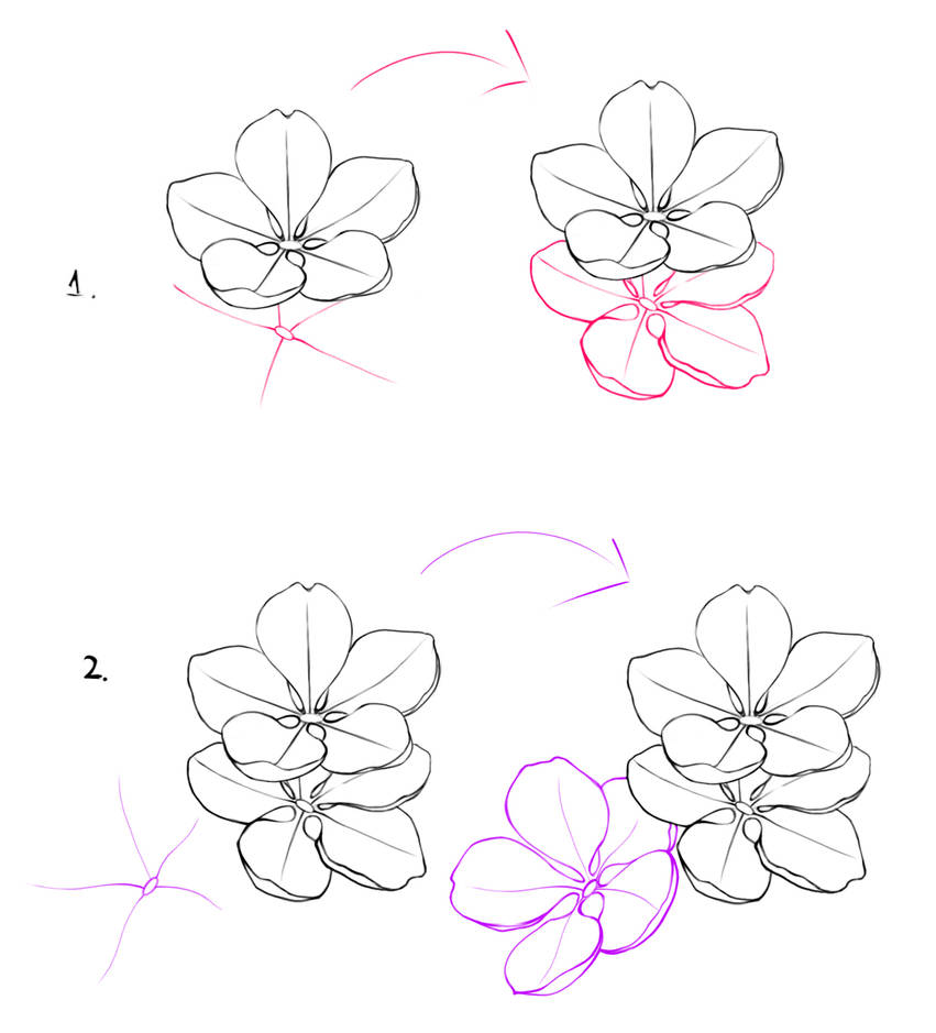 Desenhos de Três flores de cerejeira