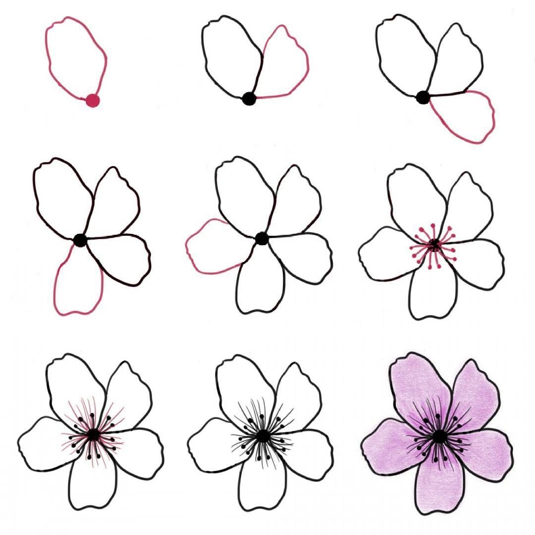 Desenhos de Uma flor de cerejeira