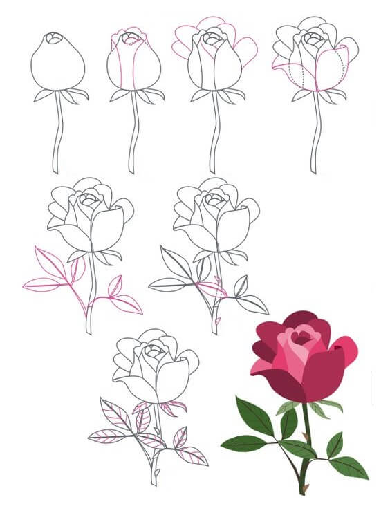 Desenhos de Uma Flor