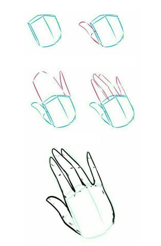 Desenhos de Anatomia da mão