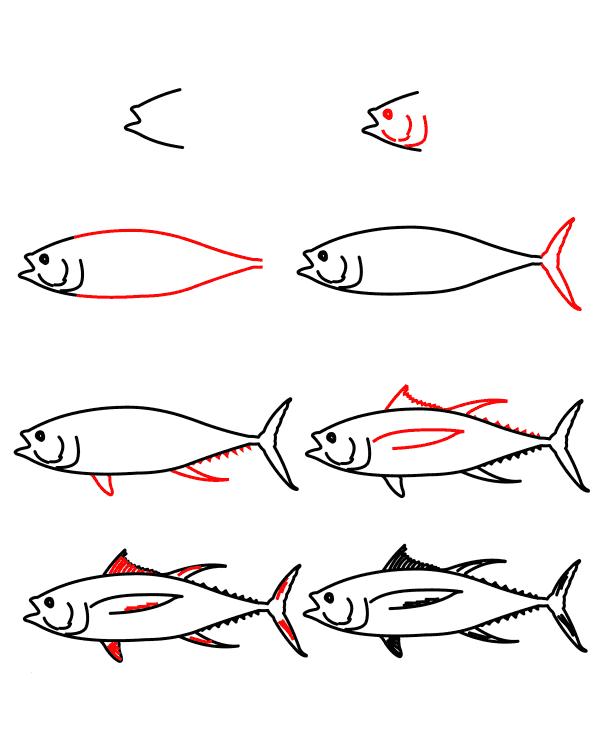 Desenhos de desenho atum simples (3)