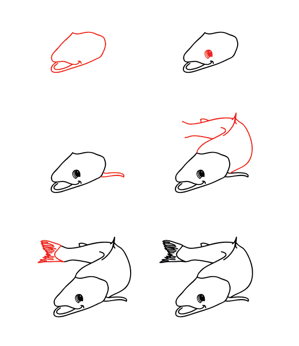 Desenhos de desenho de salmão simples