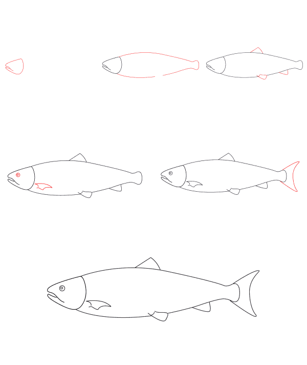 Desenhos de desenho salmão simples (3)